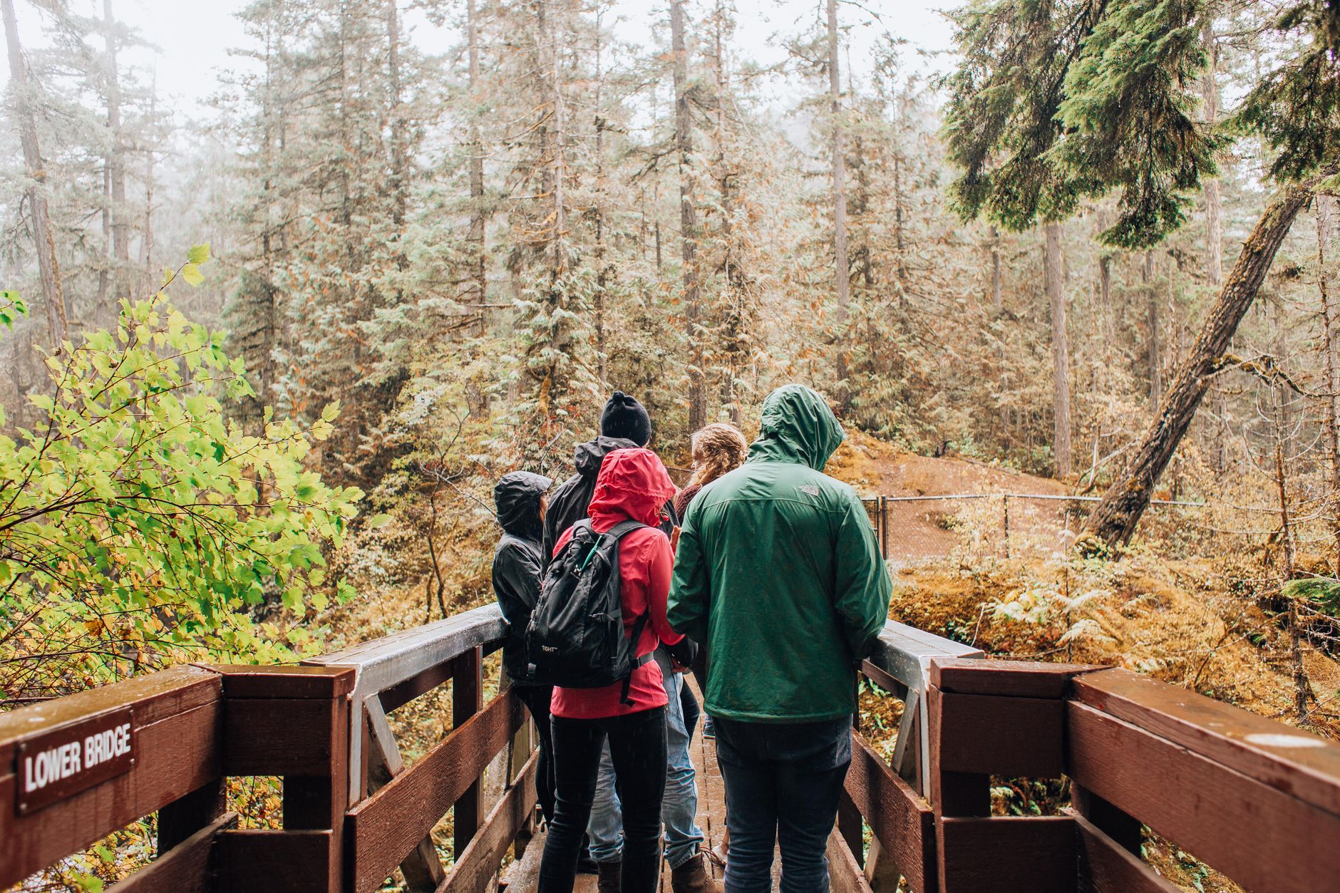 Group of friends hiking on a bridge in a misty autumn forest. Perfect for adventure travel themes. — Budget Travel Tips for a